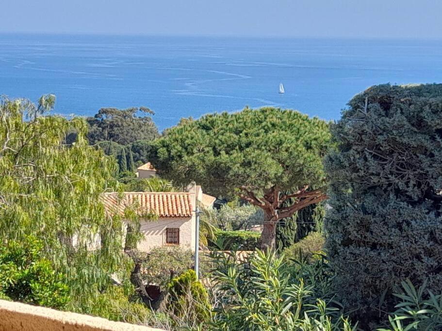 4-Star Private Villa With Heated Pool And Panoramic Sea View At Gulf De Saint Tropez Cavalaire-sur-Mer Exteriör bild